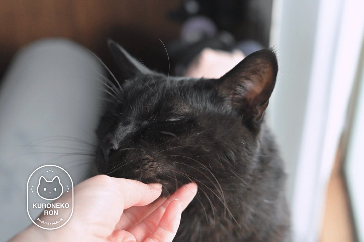 AKR🌱⑧巻6月発売 tweet media