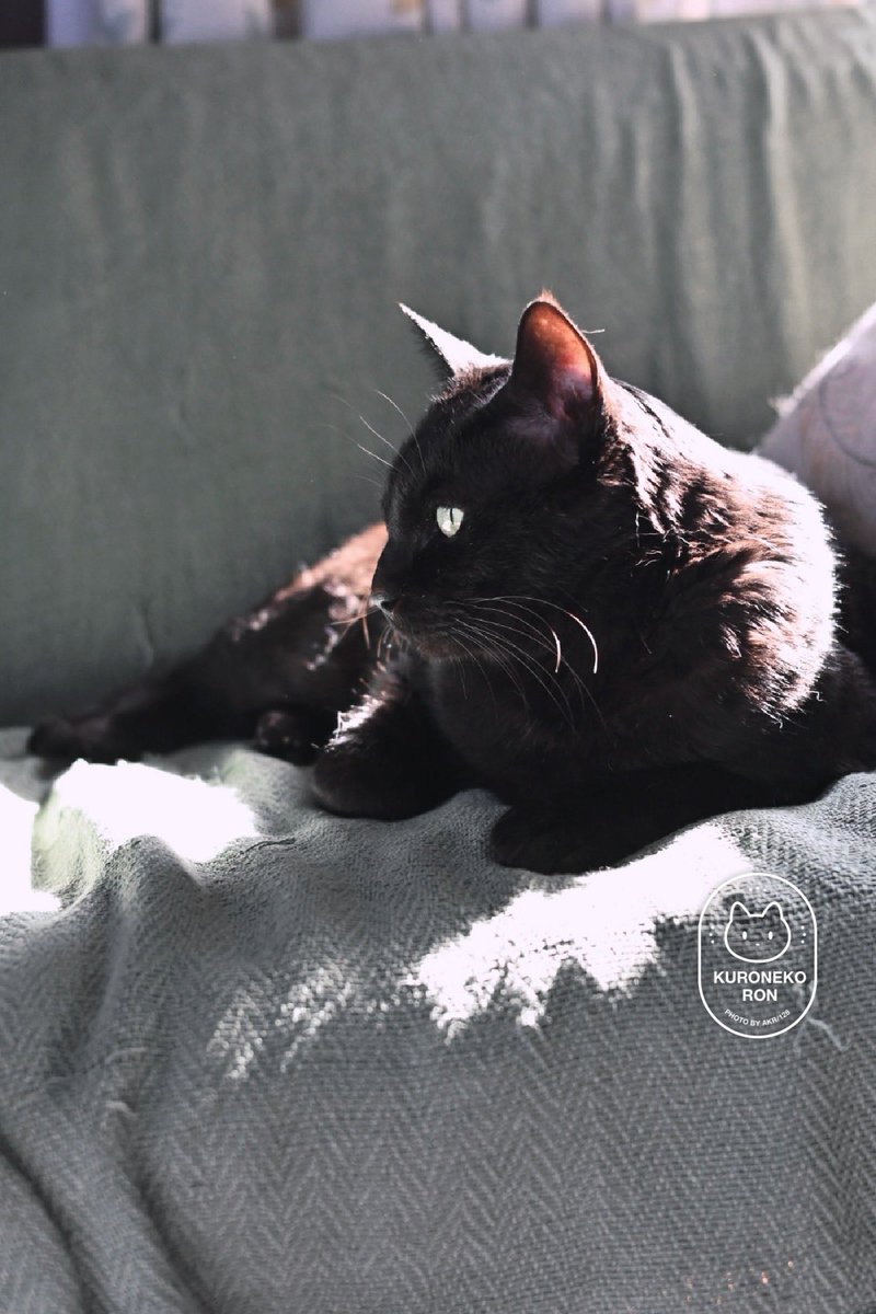 AKR🌱⑧巻6月発売 tweet media