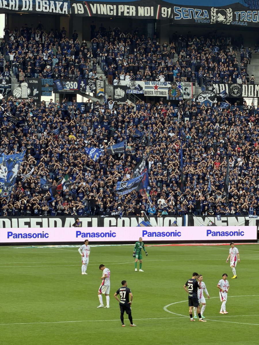 ﾅｴﾄﾙ tweet media