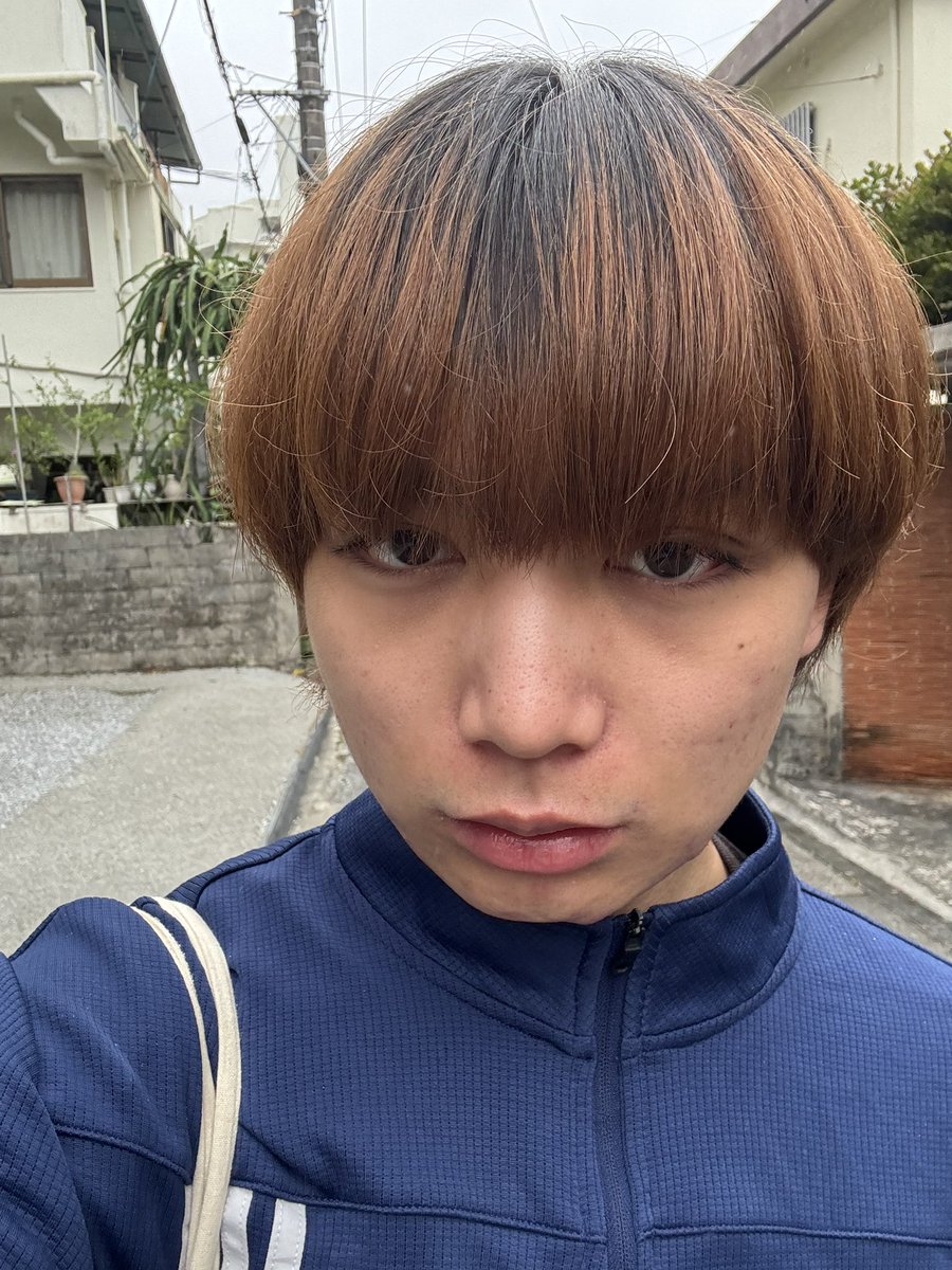 いにゃば tweet media