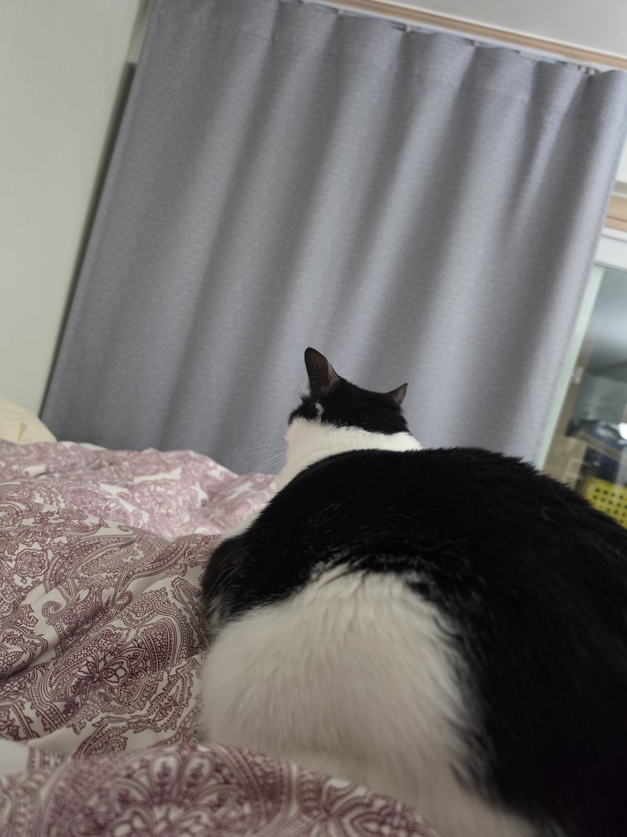 김지양 tweet media