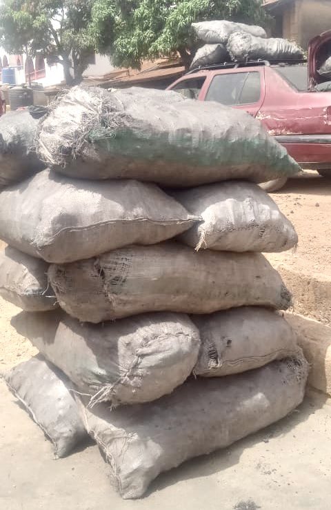 The Indigent Ones tweet media