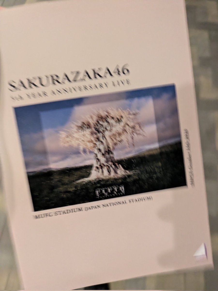 こんなぎbot tweet media