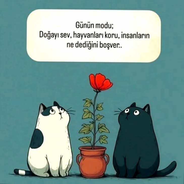 ● Büyüdükçe insan,
Az şey ister.
Ama gerçek ister.
Samimi ister..! ✔