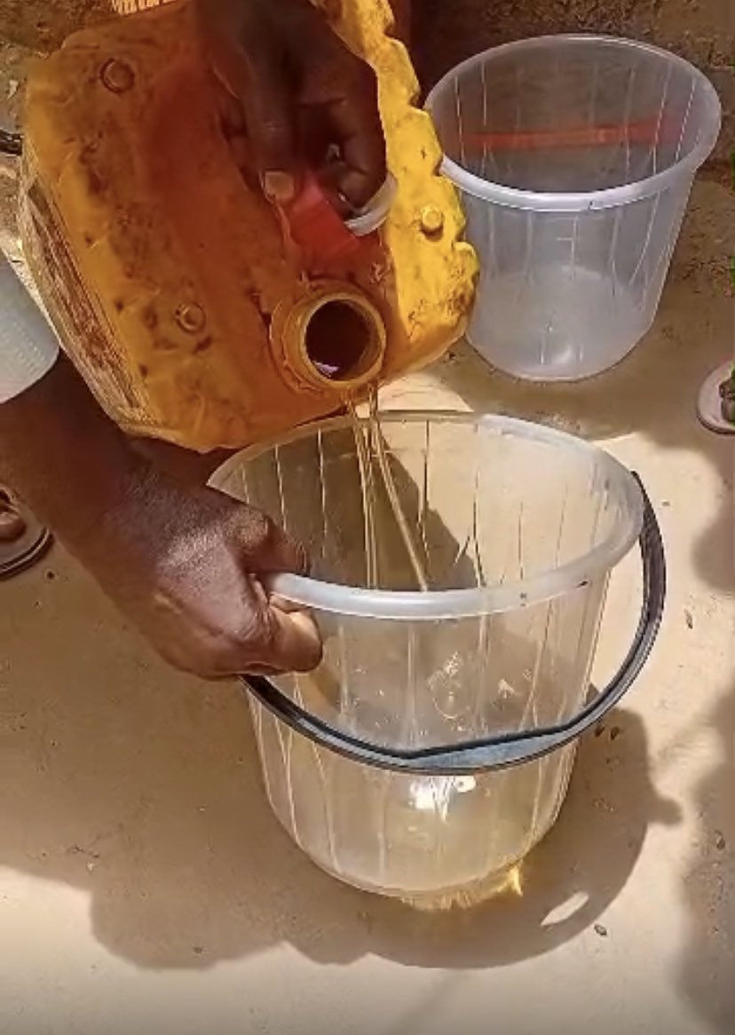 The Indigent Ones tweet media