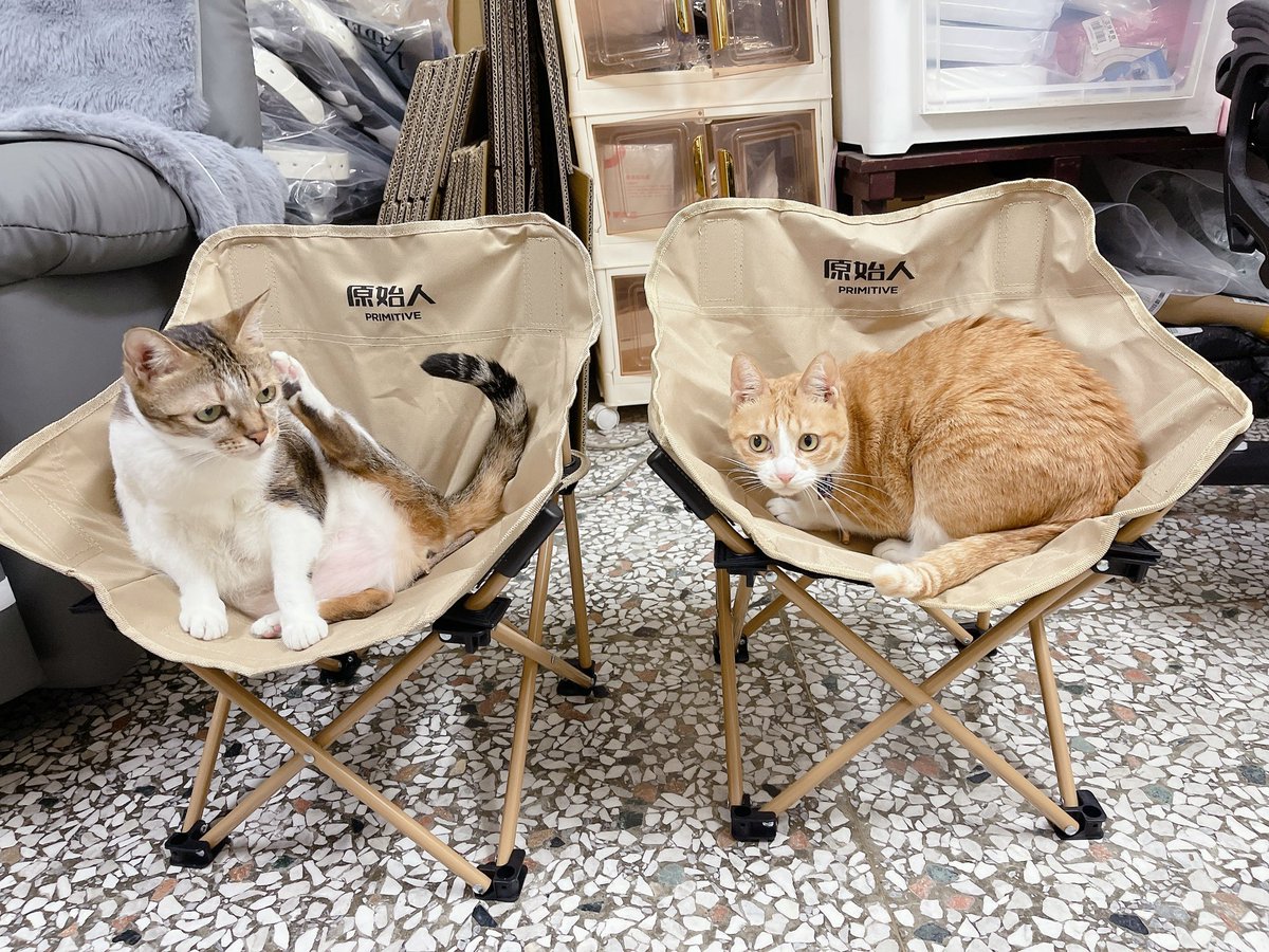 嚕嚕薯餅 tweet media