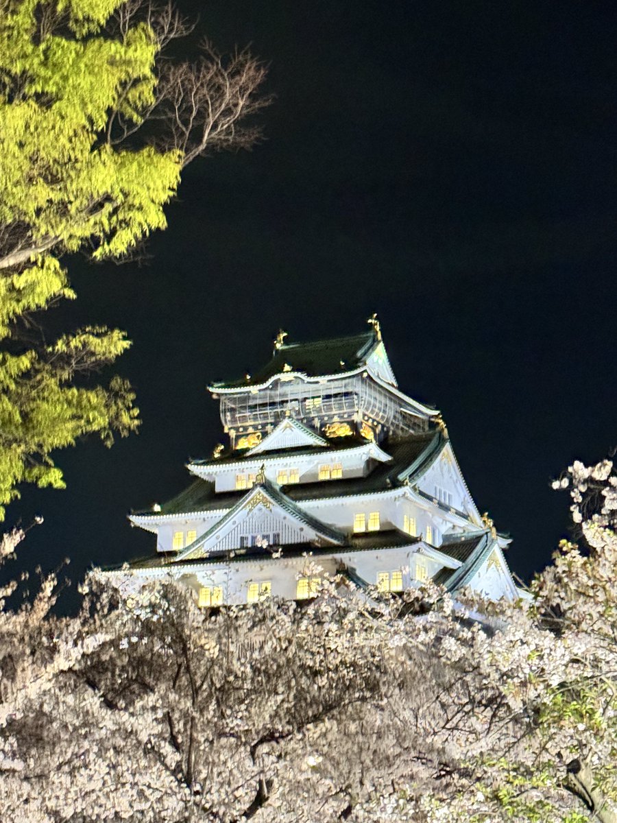 夏海@なつみん🐬 tweet media