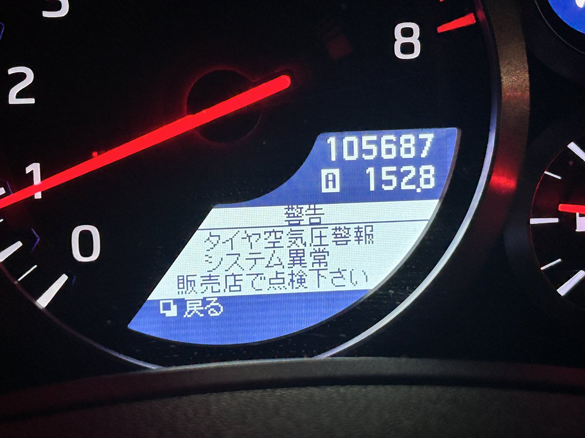 ミャウ🐤 tweet media