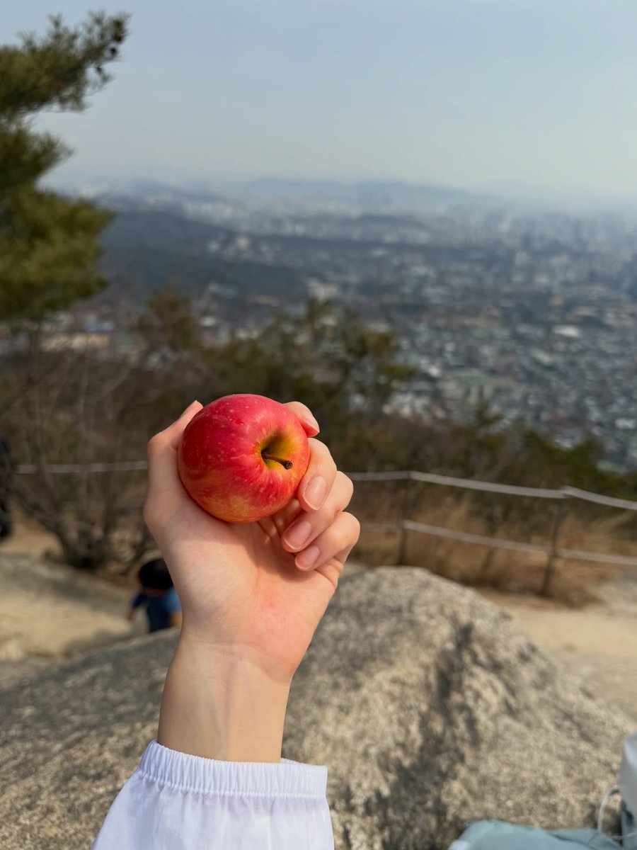 민주저장소 tweet media