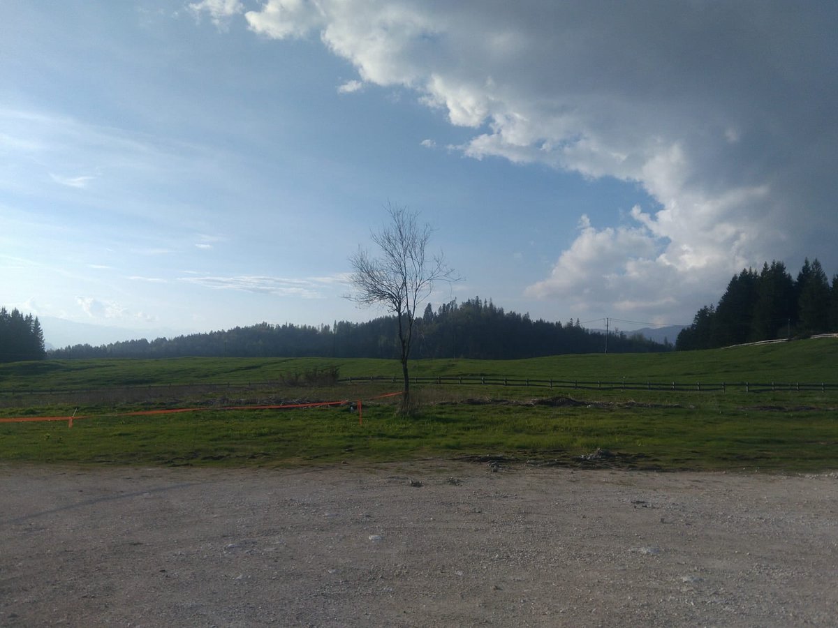 i9663vi's tweet image. Nature.

stepart.it/index.php/ffff…

#Stepart #nature #fotography #naturemagic #fotographies #naturelove