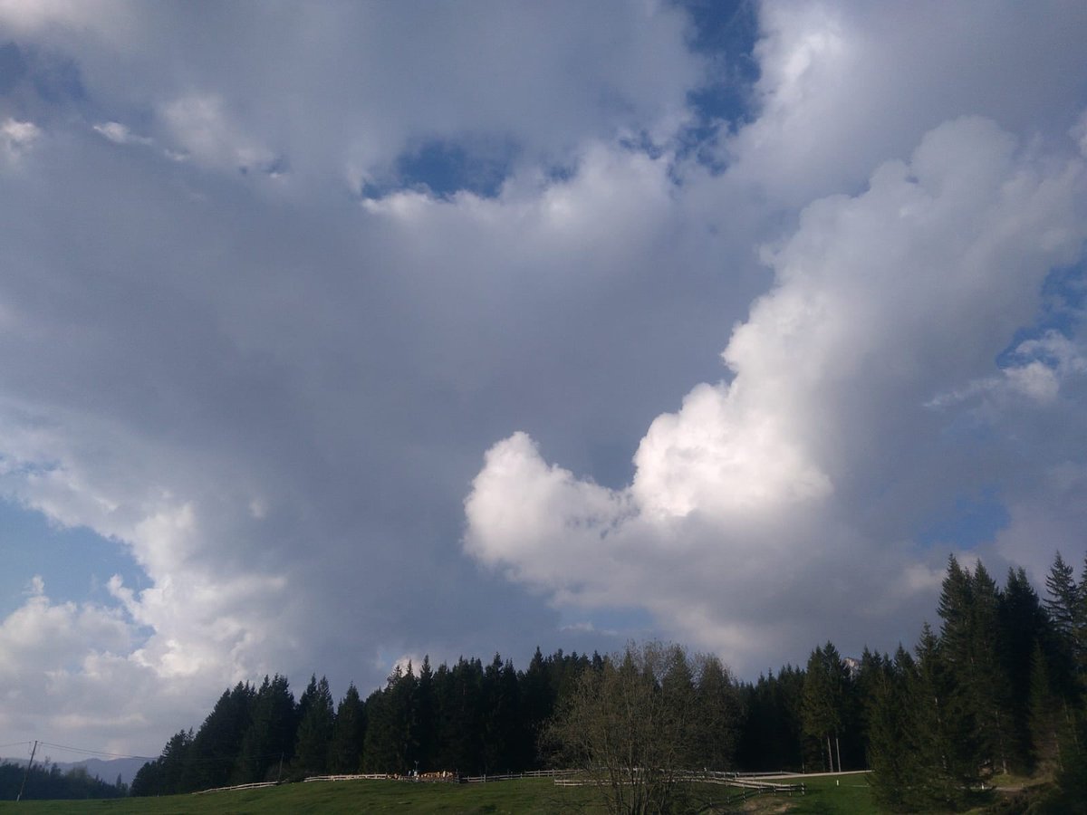 i9663vi's tweet image. Nature.

stepart.it/index.php/ffff…

#Stepart #nature #fotography #naturemagic #fotographies #naturelove