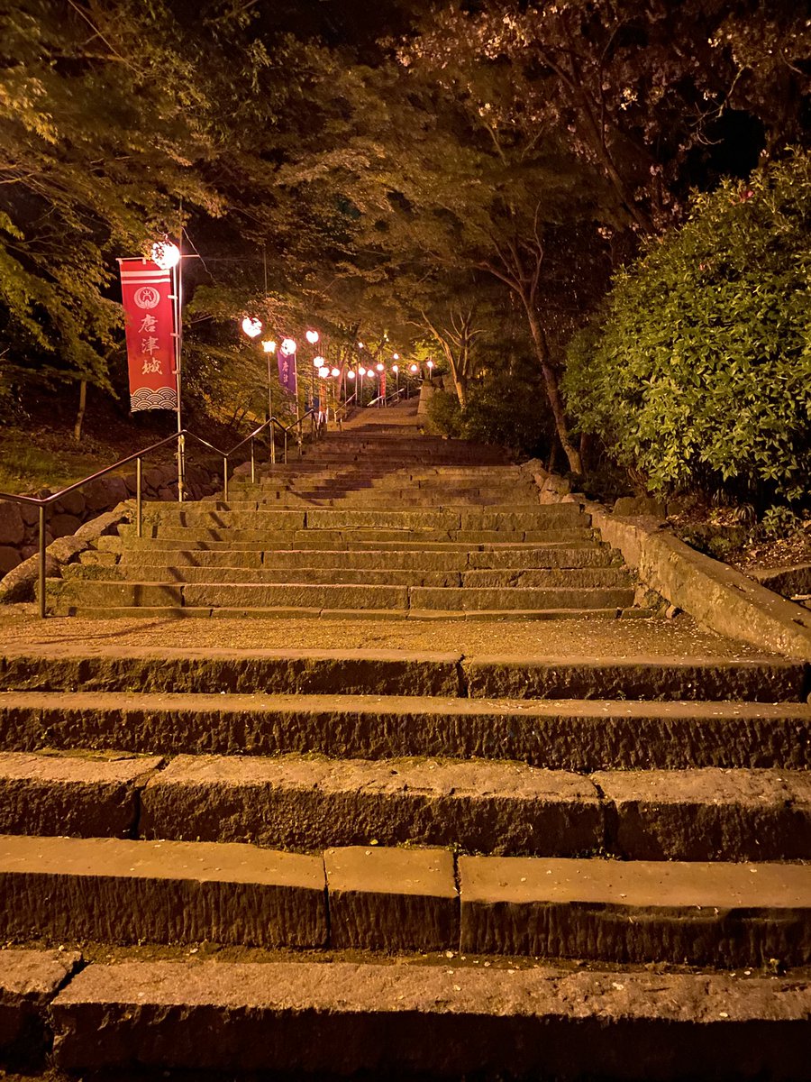 ぽっぽ@ポケカ tweet media