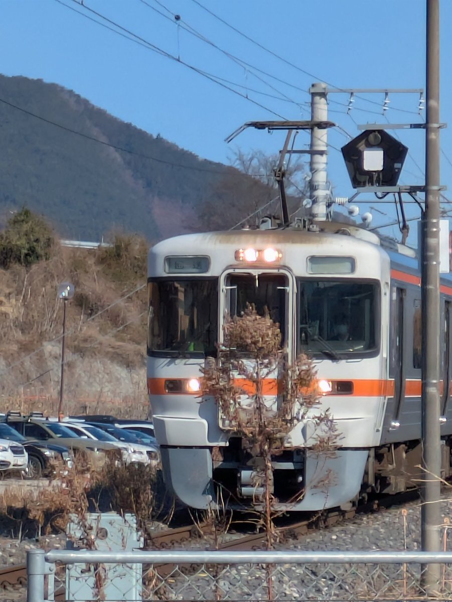 だいき tweet media