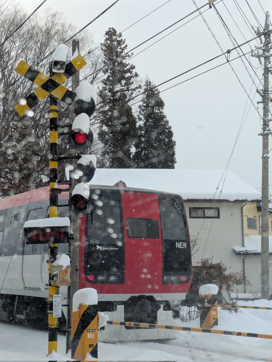 だいき tweet media