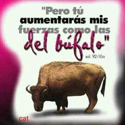 Carlos Arrioja Torres tweet media