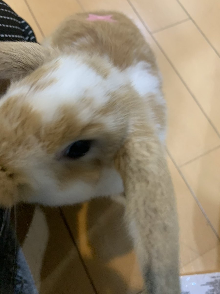 なんなんよ tweet media