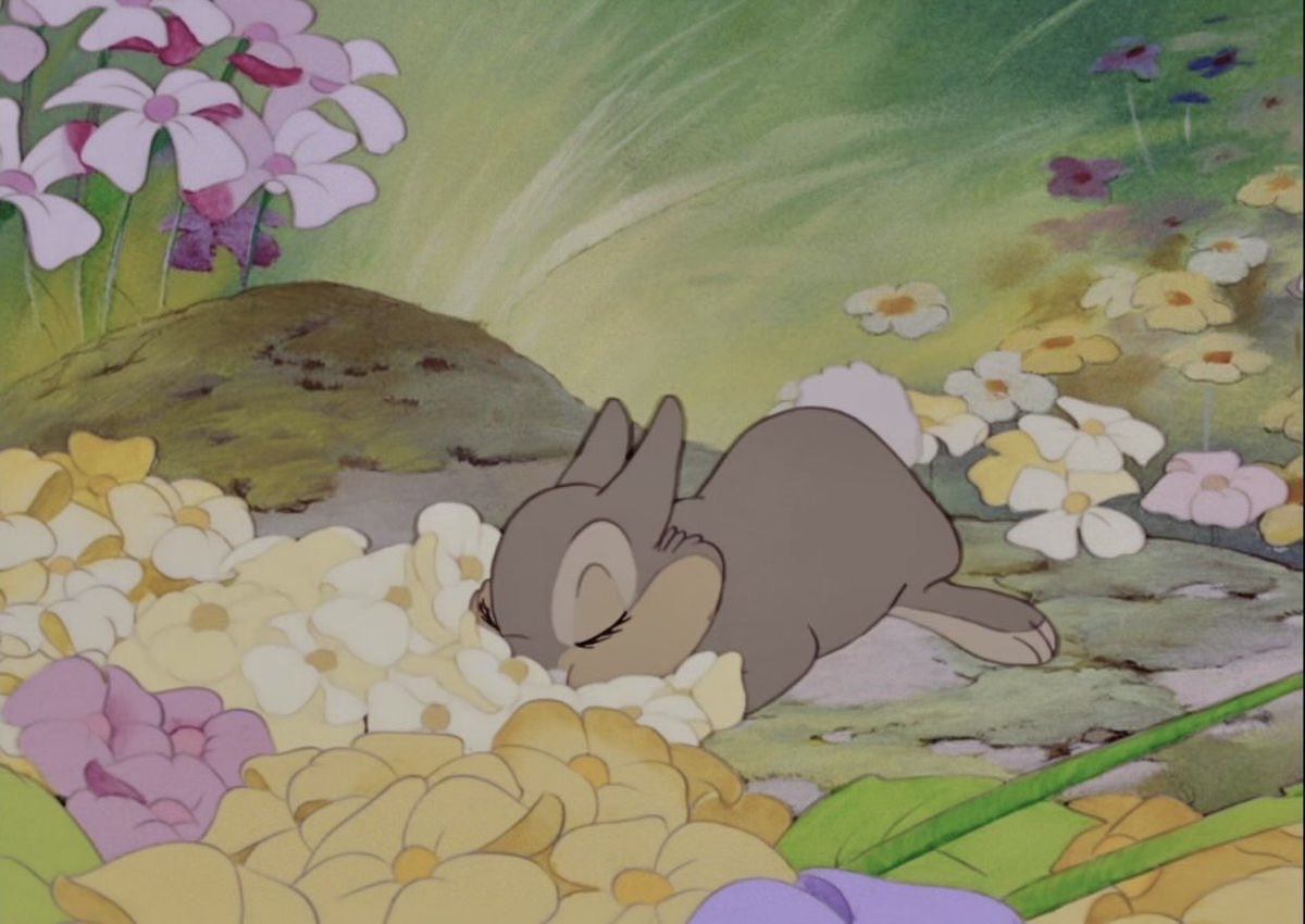 dreamyyarchive's tweet photo. spring 💐 https://t.co/jbd4apHCRl