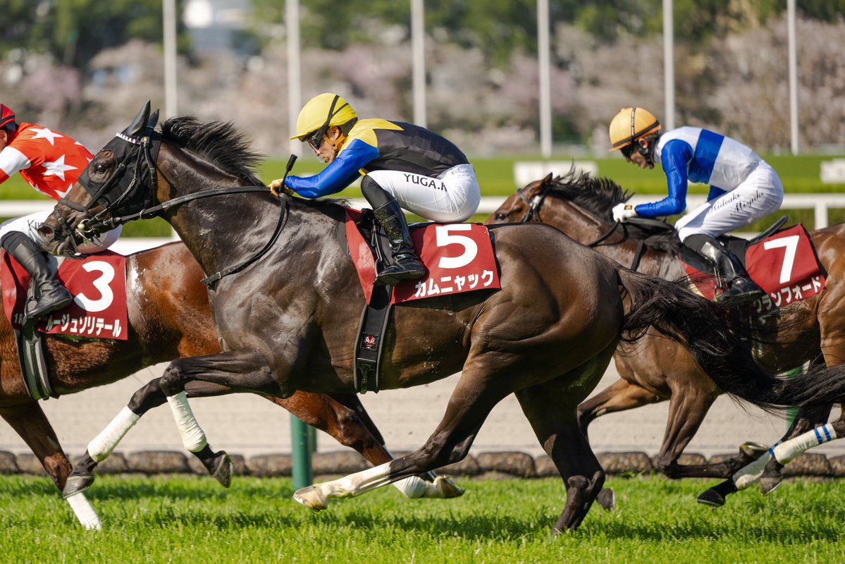 なゆう tweet media