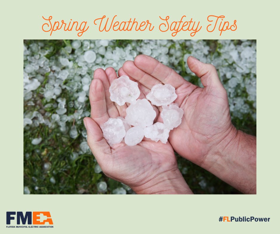 Florida Public Power tweet media