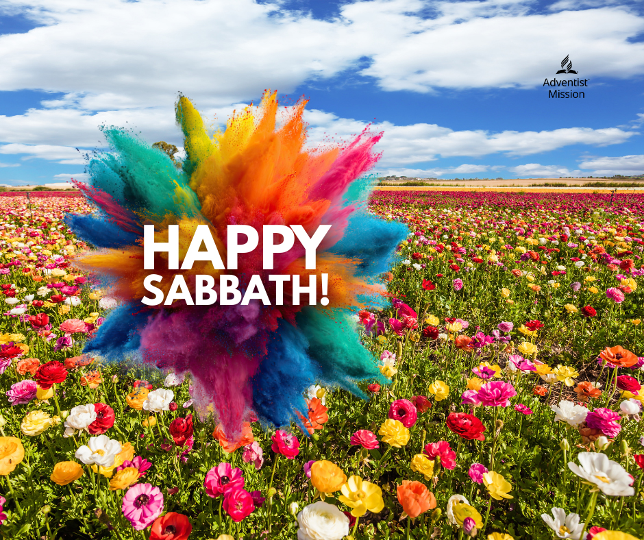 Mission360tv tweet media