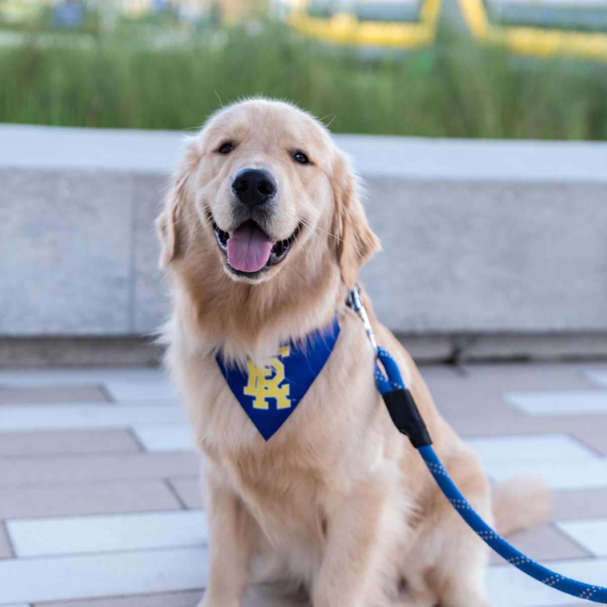 Embry-Riddle Aeronautical University tweet media