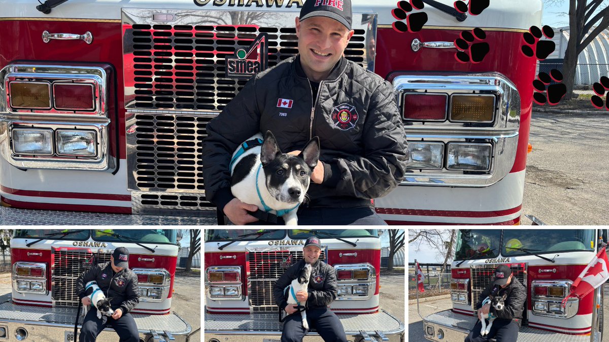OshawaFire's tweet photo. Fire safety is for paws too!

If you have a pet at home remember to:
- Keep pets away from cooking areas
- Have working smoke alarms to keep everyone safe, including our furry friends

Visit Oshawa Animal Services to meet these adoptable furry friends!

@oshawacity @iafflocal465 https://t.co/CcoSBT9vf9