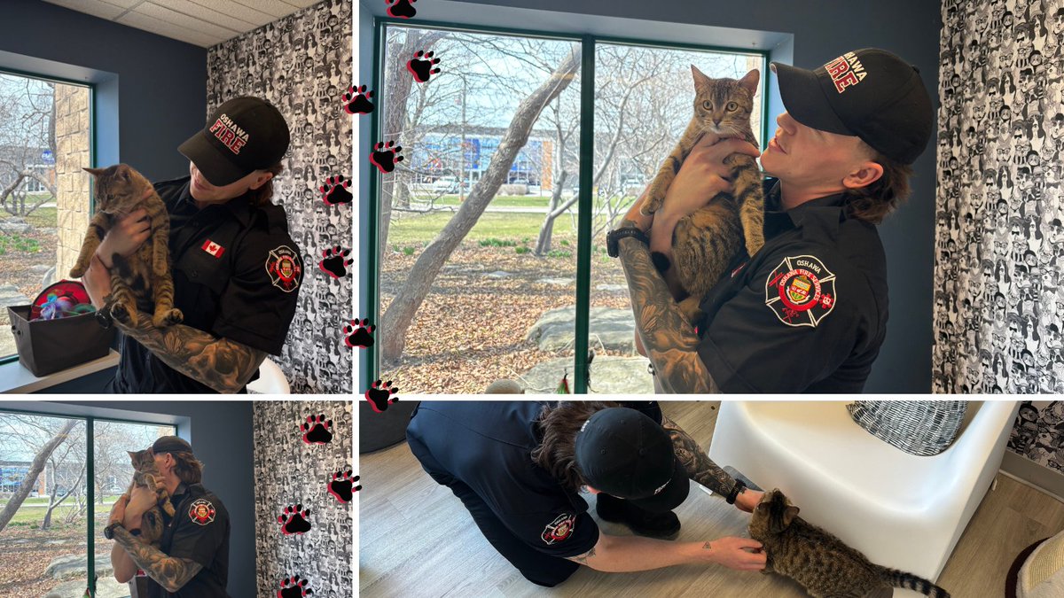 OshawaFire's tweet photo. Fire safety is for paws too!

If you have a pet at home remember to:
- Keep pets away from cooking areas
- Have working smoke alarms to keep everyone safe, including our furry friends

Visit Oshawa Animal Services to meet these adoptable furry friends!

@oshawacity @iafflocal465 https://t.co/CcoSBT9vf9