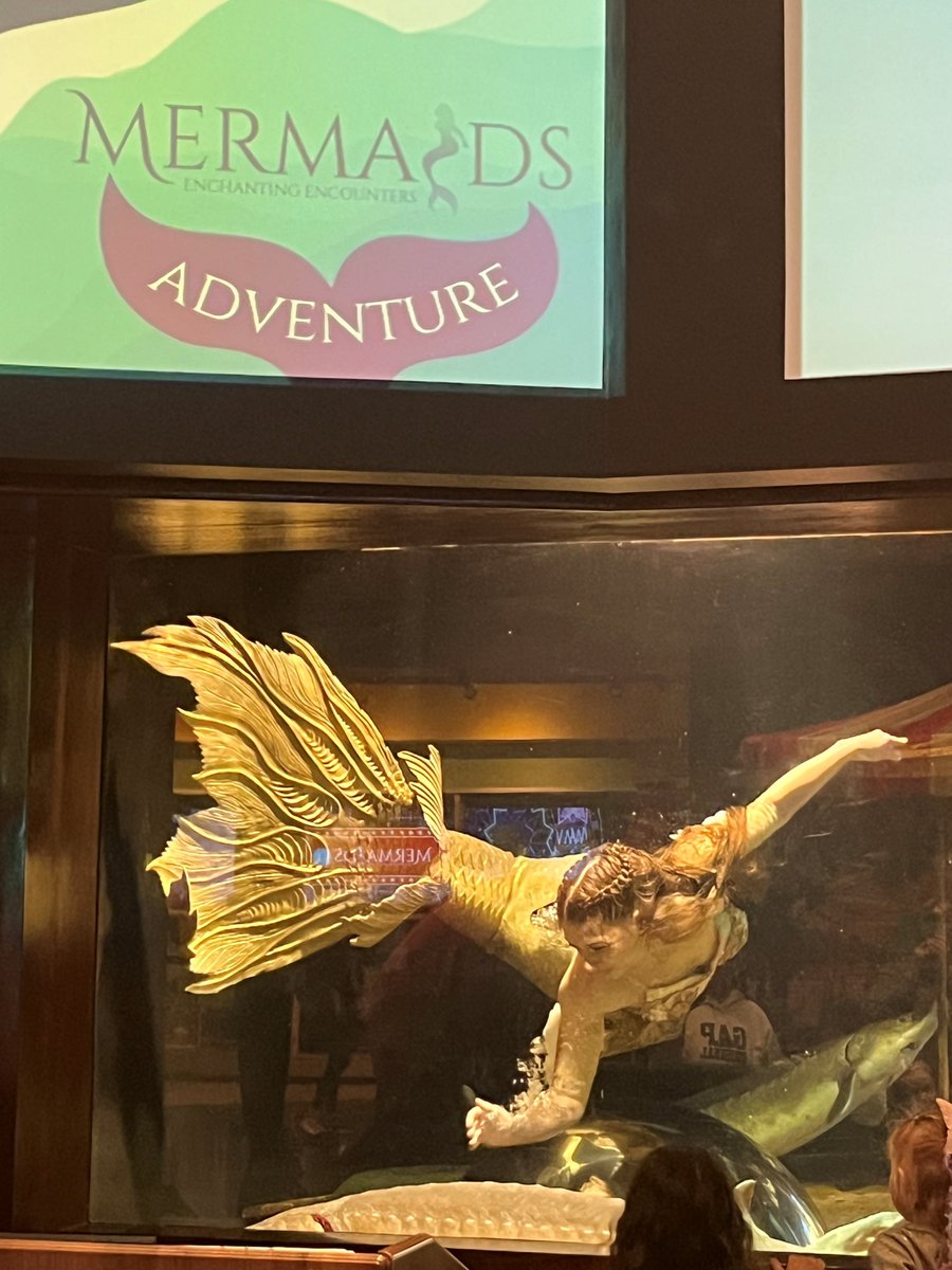 Ongwanada | Support, Respect, Choices tweet media