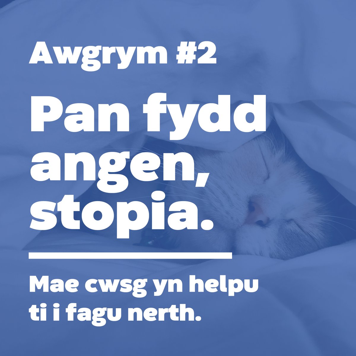 Llywodraeth Cymru Addysg tweet media