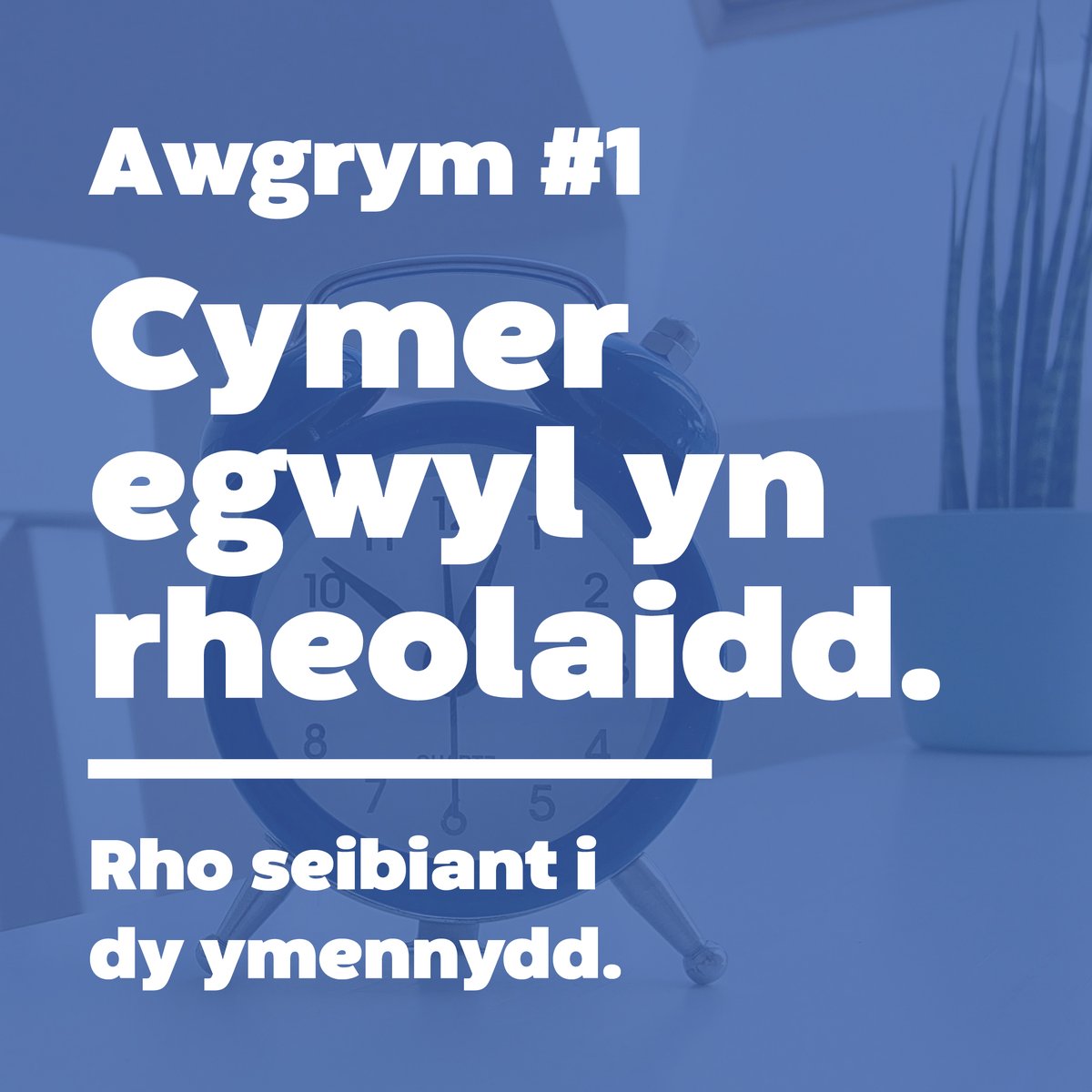 Llywodraeth Cymru Addysg tweet media