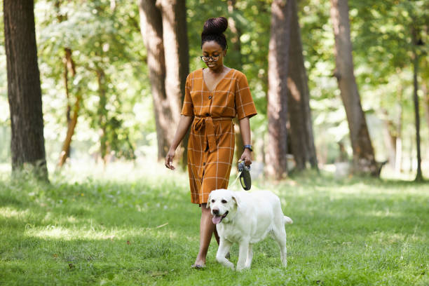 LEADDeKalb's tweet photo. Happy National Pet Day this Saturday, April 11! 🐾
Celebrate our furry friends with a walk/jog around the neighborhood, or a playful trip to the park🏞️, every step👟 counts—. Regular walks keep us healthy—they boost your mood, fitness, and strengthen that special bond you share. https://t.co/RmvhClCF6k