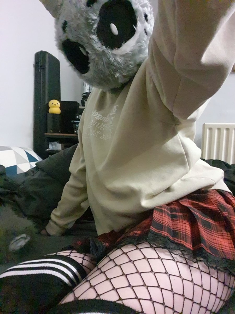 Maybee :3 🔜 CFZ tweet media