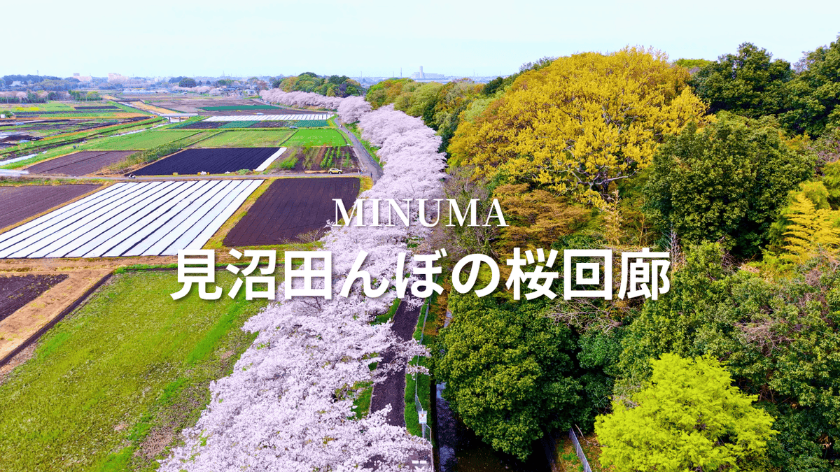 eito_drone's tweet photo. Instagramのアカウントが使えなくなってしまったので、YouTubeに再アップしました🌸
かえって画面が広くなって、見やすくなったかな…？
ぜひ大画面で、見沼の春を楽しんでいただけたら嬉しいです！

📺 https://t.co/P76g880Pha

#DJINeo #DJIMini5Pro #ドローン空撮 #見沼田んぼ #桜回廊 #4K https://t.co/rBKgq8LPoO
