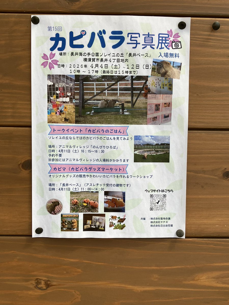 のりぴ tweet media