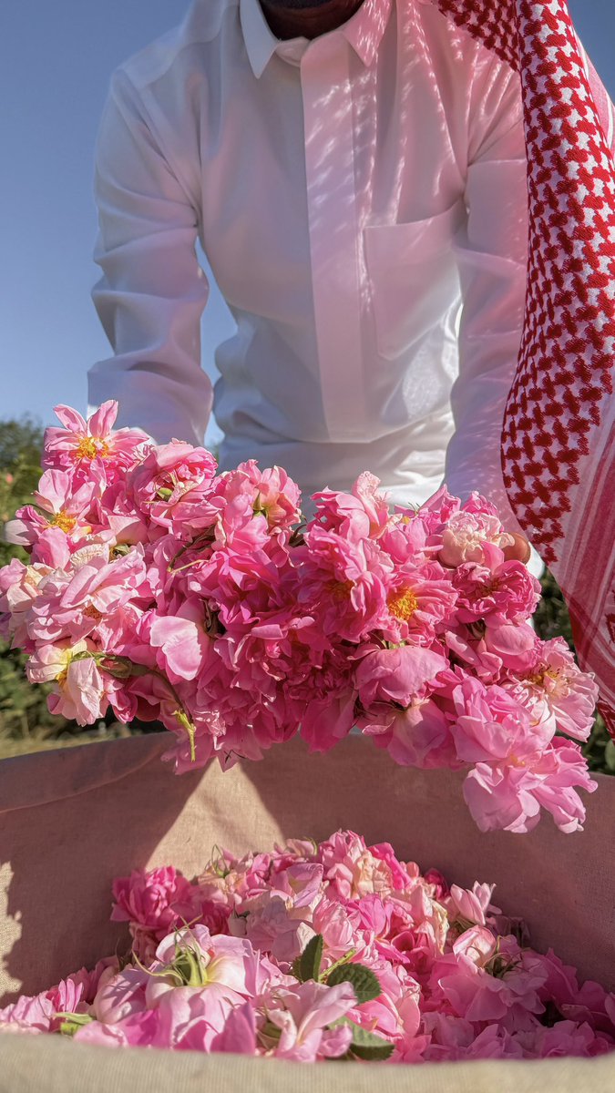 إمارة منطقة مكة المكرمة tweet media