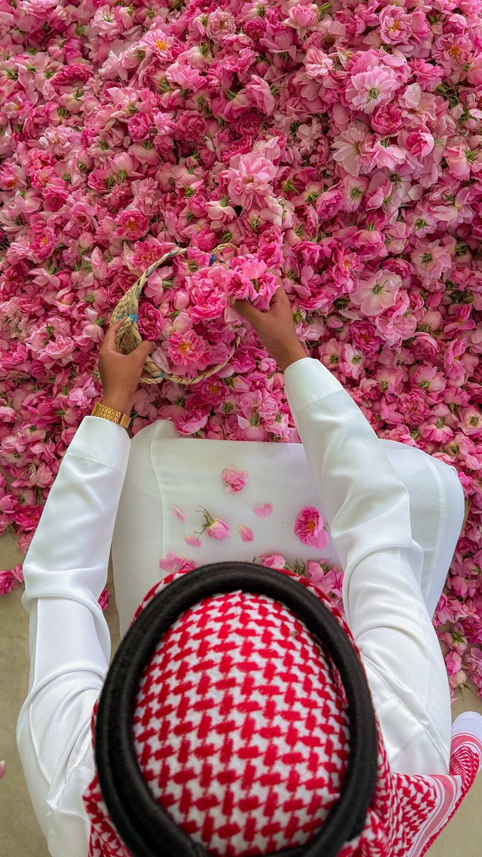 إمارة منطقة مكة المكرمة tweet media