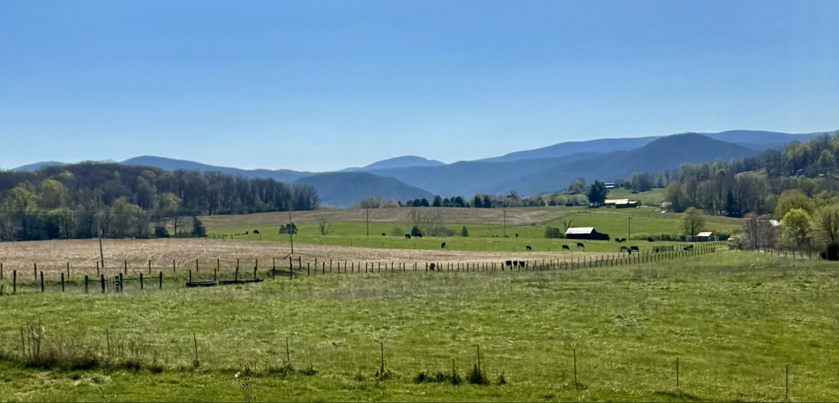 The Appalachian Podcast tweet media