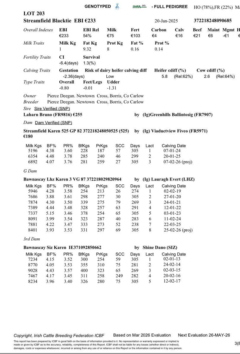 PiercyDeegan's tweet photo. Lot 203 in Kilkenny Co-Op Livestock Mart this Wednesday 
Streamfield Blacktie by Fr9816 Laharn Bruno off a Fr5971 Viaductview Fiveo dam GP82 at 3.78 protein 6800 litres Grand-dam a VG87 LHZ cow at 3.61 protein 8000 litres https://t.co/ysqzD2QwwA