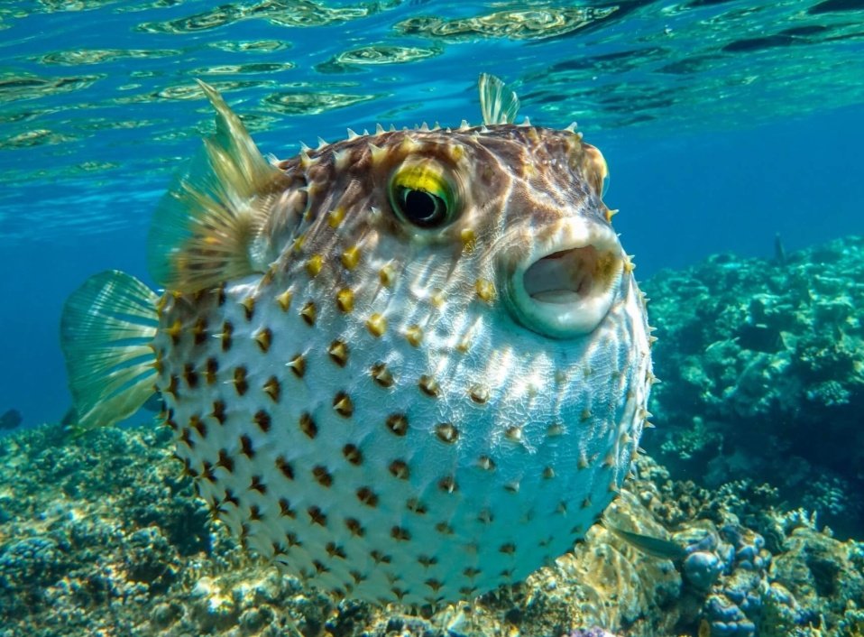 aespa❤‍🔥Ginjay/JayGin❤ tweet media