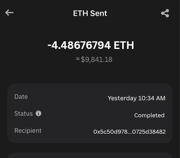 Crypto Rain tweet media