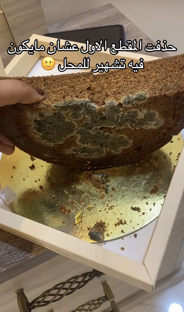 زيتونه tweet media