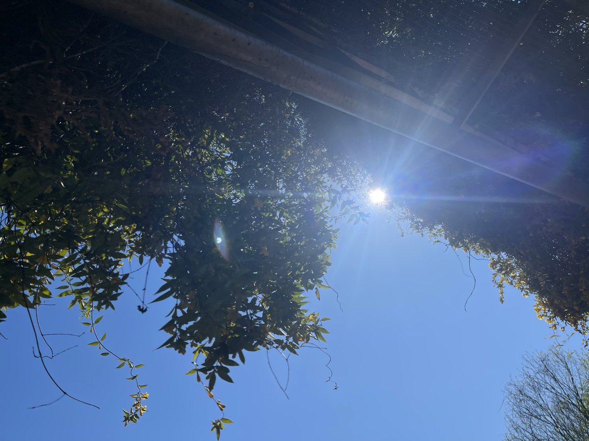 m_m8585's tweet photo. 太陽をたくさん見上げた日。
淡色のセンスの良さ、異国のようだ https://t.co/uRgxY0y50q