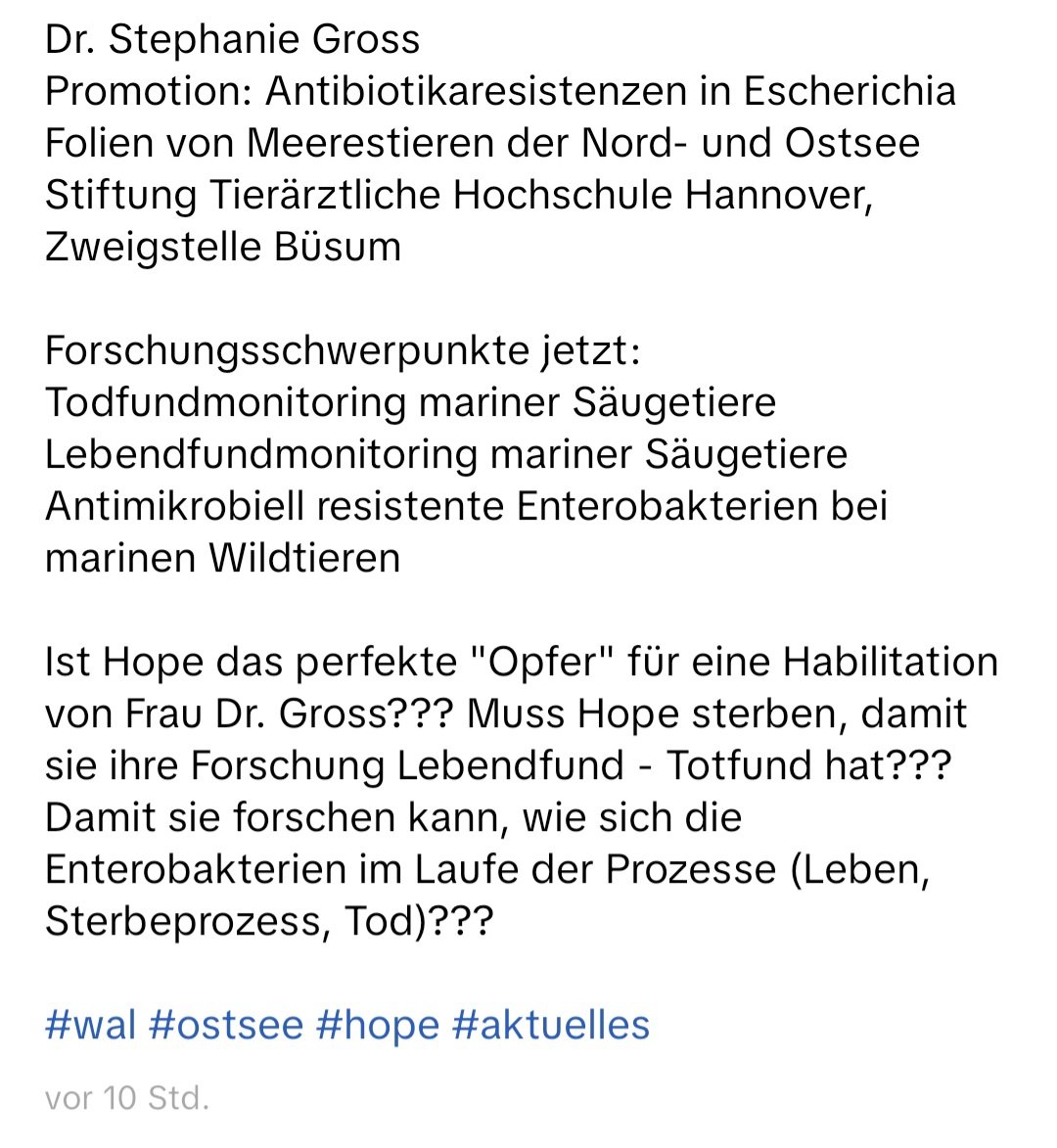 Harrysswiftie tweet media