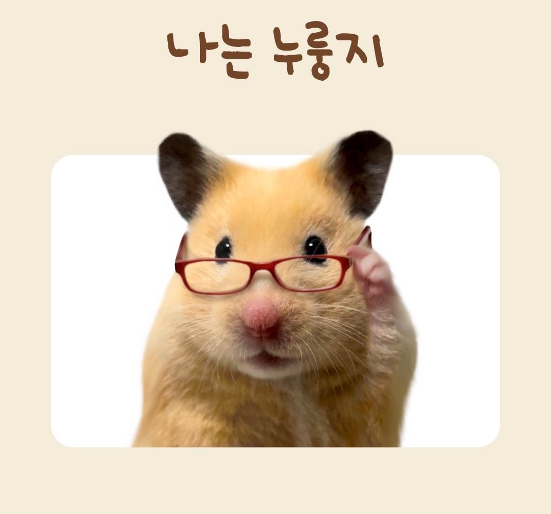 세리🪽 tweet media