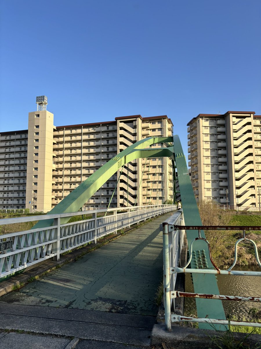 さり∞ tweet media