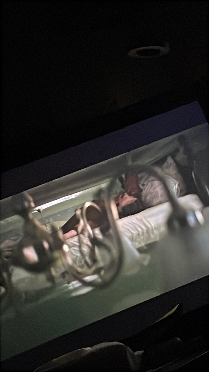 just ren tweet media