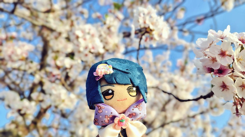 Timely Xingqiu 📘💙 tweet media