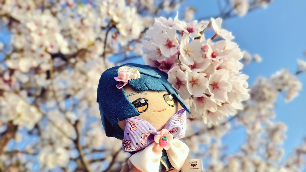 Timely Xingqiu 📘💙 tweet media