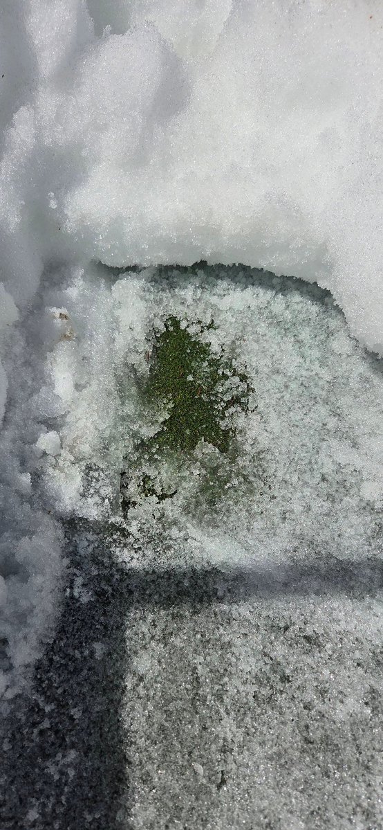 Carey Hofner tweet media