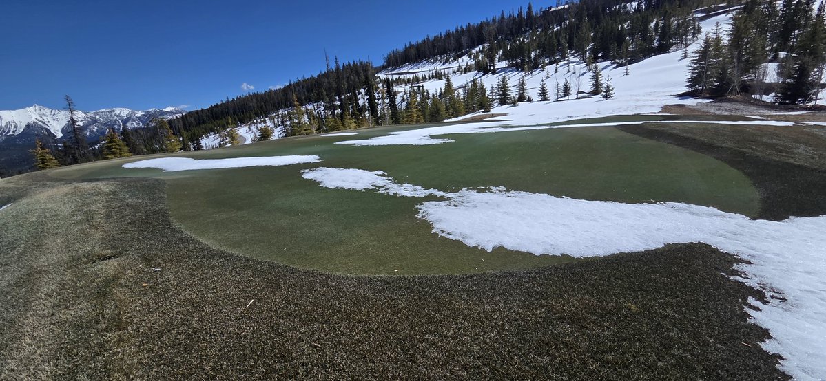 Carey Hofner tweet media